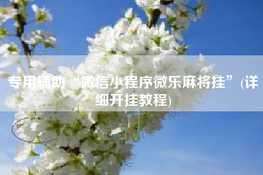 专用辅助“微信小程序微乐麻将挂”(详细开挂教程)