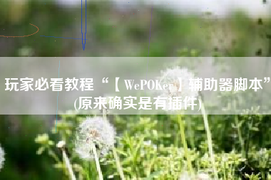 玩家必看教程“【WePOKer】辅助器脚本”(原来确实是有插件)