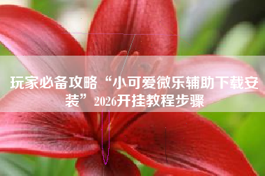 玩家必备攻略“小可爱微乐辅助下载安装”2026开挂教程步骤