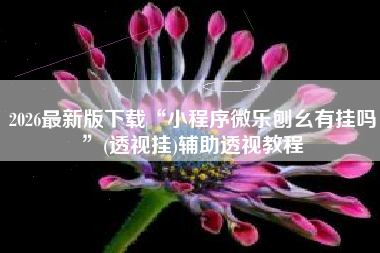 2026最新版下载“小程序微乐刨幺有挂吗”(透视挂)辅助透视教程