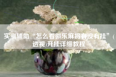 实测辅助“怎么看微乐麻将有没有挂	”(透视)开挂详细教程