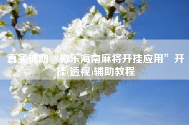 真实辅助“微乐海南麻将开挂应用”开挂(透视)辅助教程