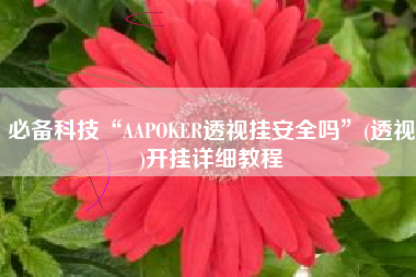 必备科技“AAPOKER透视挂安全吗	”(透视)开挂详细教程