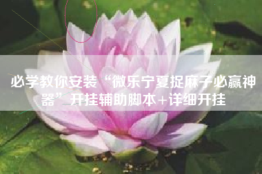 必学教你安装“微乐宁夏捉麻子必赢神器	”开挂辅助脚本+详细开挂