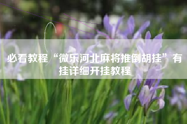 必看教程“微乐河北麻将推倒胡挂	”有挂详细开挂教程
