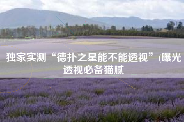 独家实测“德扑之星能不能透视”(曝光透视必备猫腻