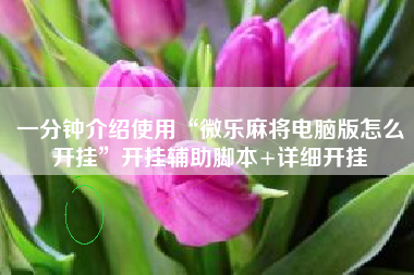 一分钟介绍使用“微乐麻将电脑版怎么开挂	”开挂辅助脚本+详细开挂