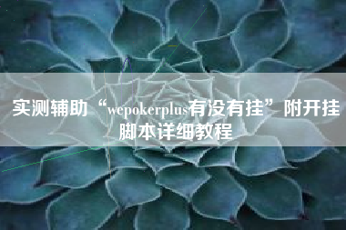 实测辅助“wepokerplus有没有挂	”附开挂脚本详细教程