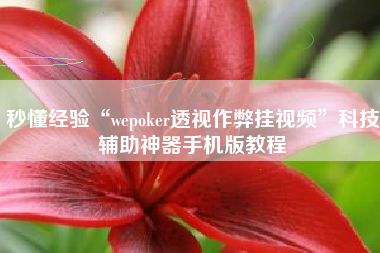 秒懂经验“wepoker透视作弊挂视频	”科技辅助神器手机版教程