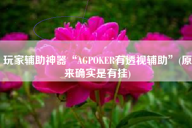 玩家辅助神器“AGPOKER有透视辅助	”(原来确实是有挂)