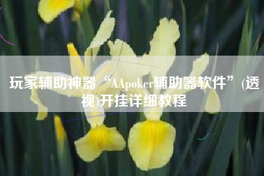 玩家辅助神器“AApoker辅助器软件”(透视)开挂详细教程