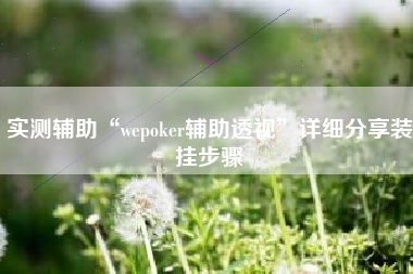 实测辅助“wepoker辅助透视”详细分享装挂步骤
