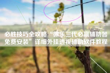 必胜技巧全攻略“微乐三代必赢辅助器免费安装	”详细外挂透视辅助软件教程