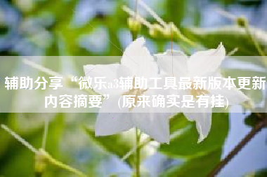 辅助分享“微乐a3辅助工具最新版本更新内容摘要	”(原来确实是有挂)