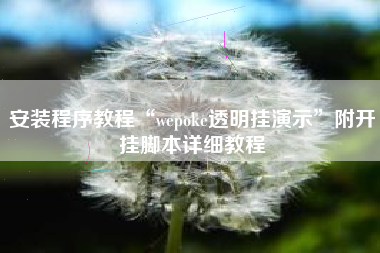 安装程序教程“wepoke透明挂演示”附开挂脚本详细教程