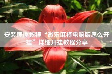 安装程序教程“微乐麻将电脑版怎么开挂”详细开挂教程分享