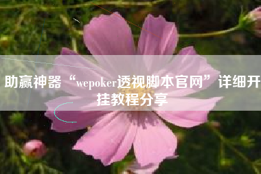 助赢神器“wepoker透视脚本官网	”详细开挂教程分享