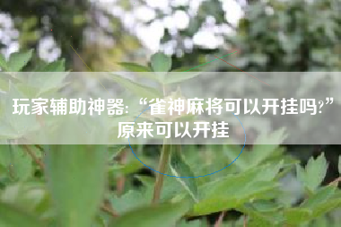 玩家辅助神器:“雀神麻将可以开挂吗?	”原来可以开挂