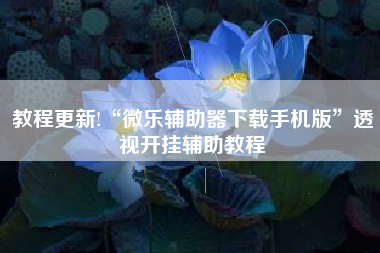 教程更新!“微乐辅助器下载手机版”透视开挂辅助教程