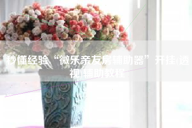 秒懂经验“微乐亲友房辅助器	”开挂(透视)辅助教程