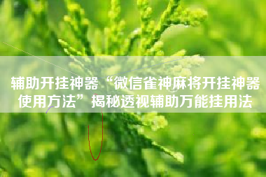 辅助开挂神器“微信雀神麻将开挂神器使用方法”揭秘透视辅助万能挂用法