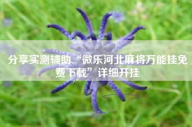 分享实测辅助“微乐河北麻将万能挂免费下载”详细开挂