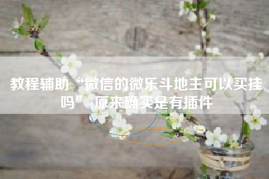 教程辅助“微信的微乐斗地主可以买挂吗”(原来确实是有插件