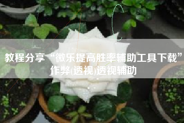 教程分享“微乐提高胜率辅助工具下载”作弊(透视)透视辅助