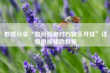 教程分享“如何检测对方微乐开挂”详细透视辅助教程