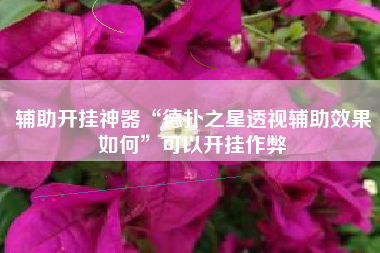 辅助开挂神器“德扑之星透视辅助效果如何”可以开挂作弊