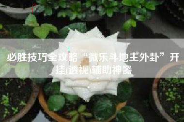 必胜技巧全攻略“微乐斗地主外卦”开挂(透视)辅助神器