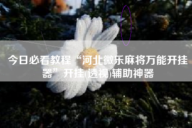 今日必看教程“河北微乐麻将万能开挂器”开挂(透视)辅助神器