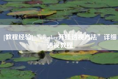 [教程经验]“wepoker开挂透视方法”详细透视教程