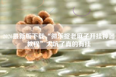 2026最新版下载“微乐捉老麻子开挂神器教程	”太坑了真的有挂