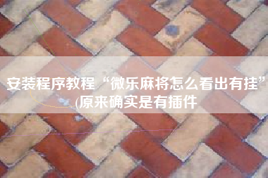安装程序教程“微乐麻将怎么看出有挂”(原来确实是有插件