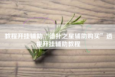 教程开挂辅助“德扑之星辅助购买”透视开挂辅助教程