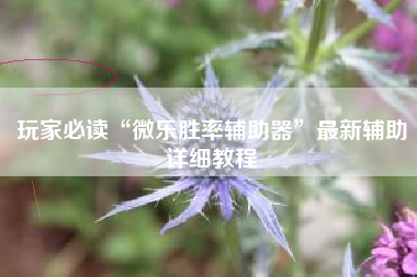 玩家必读“微乐胜率辅助器”最新辅助详细教程