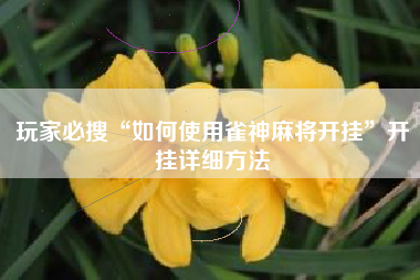 玩家必搜“如何使用雀神麻将开挂”开挂详细方法