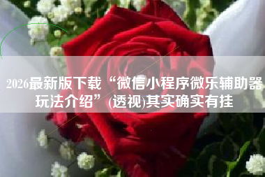 2026最新版下载“微信小程序微乐辅助器玩法介绍	”(透视)其实确实有挂