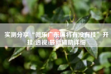 实测分享“微乐广东麻将有没有挂”开挂(透视)最新辅助详细