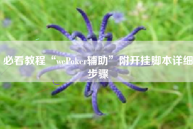 必看教程“wePoker辅助”附开挂脚本详细步骤