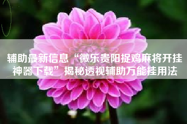 辅助最新信息“微乐贵阳捉鸡麻将开挂神器下载”揭秘透视辅助万能挂用法