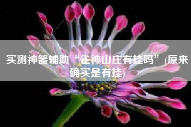 实测神器辅助“雀神山庄有挂吗”(原来确实是有挂)