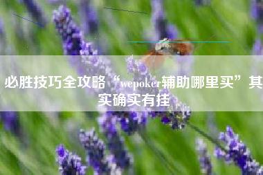 必胜技巧全攻略“wepoker辅助哪里买”其实确实有挂
