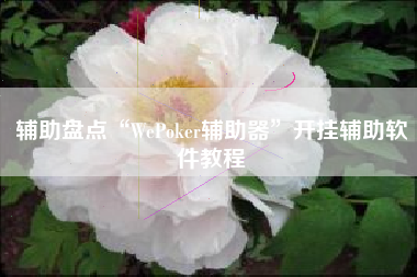 辅助盘点“WePoker辅助器”开挂辅助软件教程