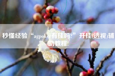 秒懂经验“agpoker有挂吗?”开挂(透视)辅助教程!