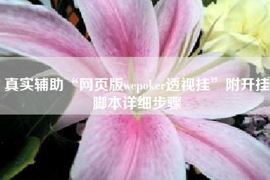 真实辅助“网页版wepoker透视挂”附开挂脚本详细步骤