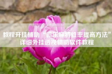 教程开挂辅助“微乐麻将胜率提高方法”详细外挂透视辅助软件教程