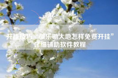 开挂技巧“微乐锄大地怎样免费开挂	”详细辅助软件教程