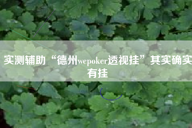 实测辅助“德州wepoker透视挂”其实确实有挂